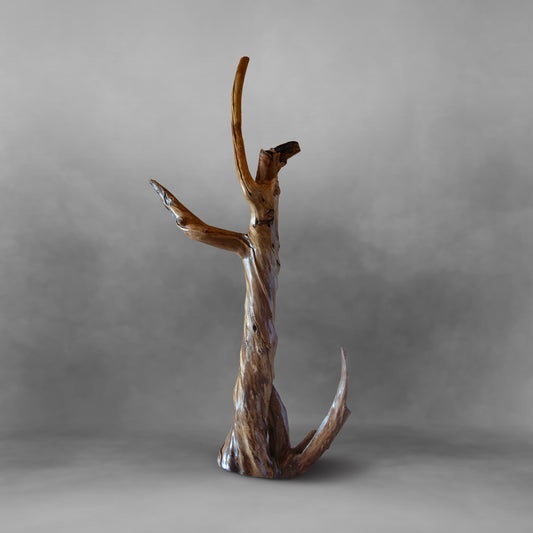 Tree Dancer, unique piece of art: Alamo wood
