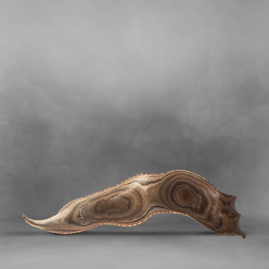 Sharp Teeth, unusual canoe form in brown gradients, large onyx bowl