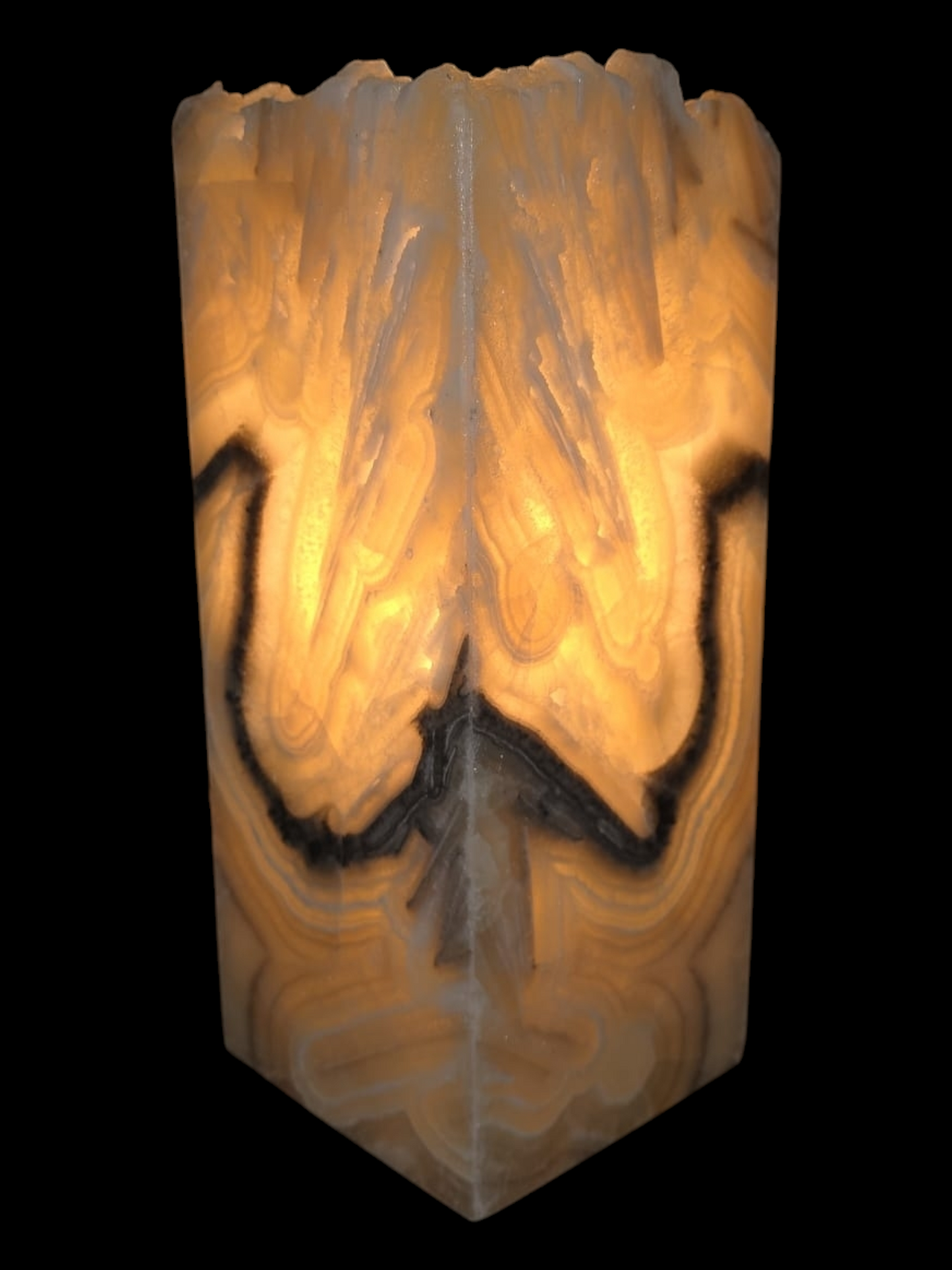 Exquisite Natural Yellows & Black design night light