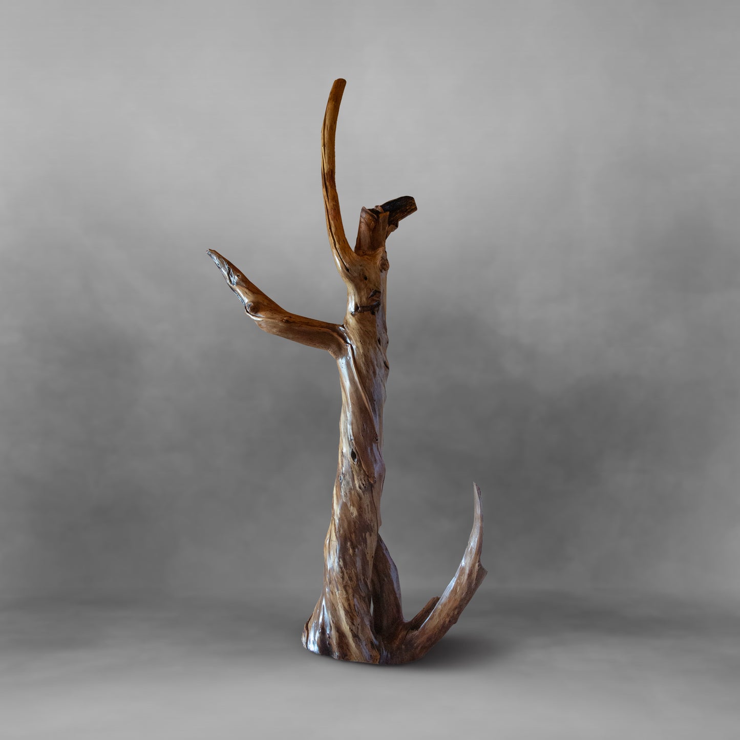 Tree Dancer, unique piece of art: Alamo wood