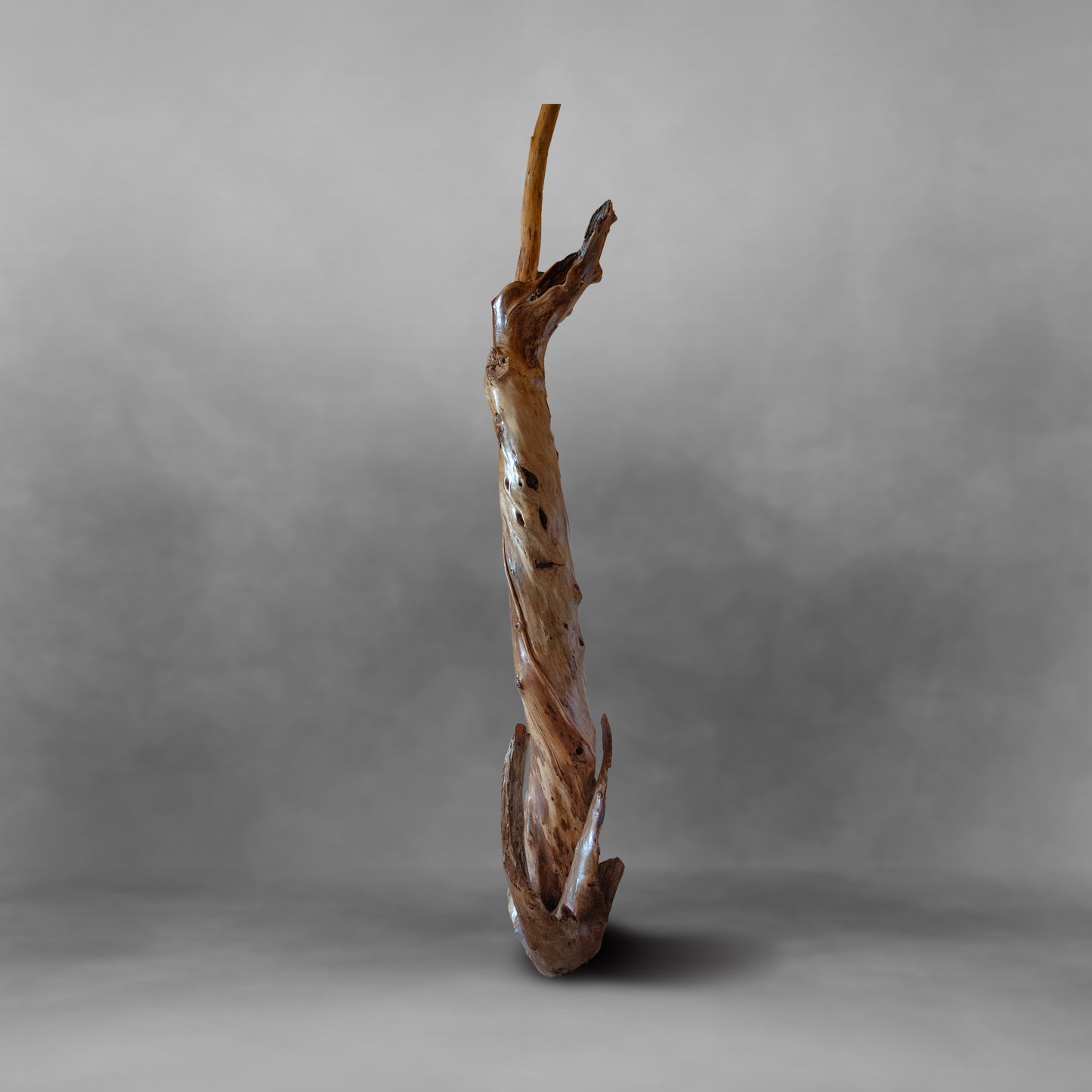 Tree Dancer, unique piece of art: Alamo wood