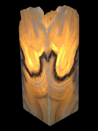 Exquisite Natural Yellows & Black design night light