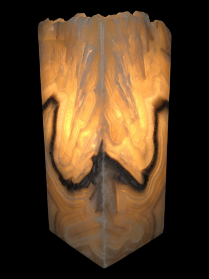 Exquisite Natural Yellows & Black design night light