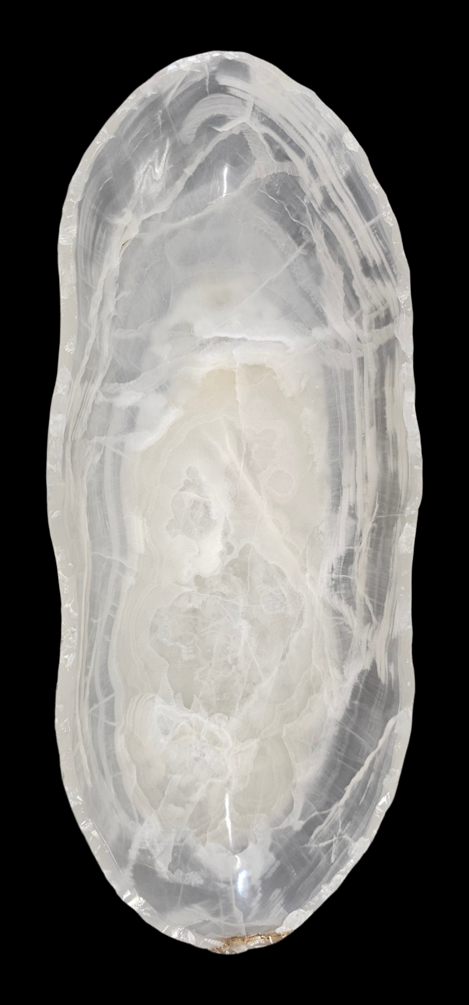 Veins of Winter
