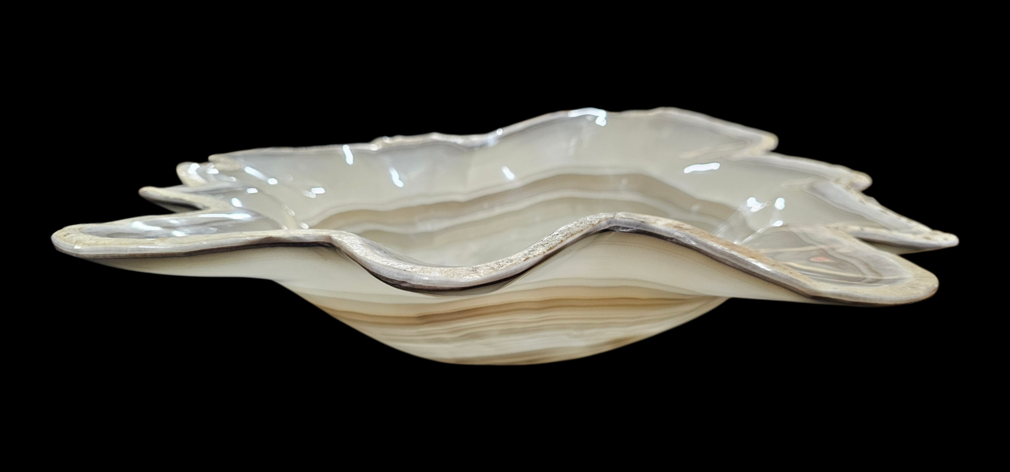 Pearl Blossom