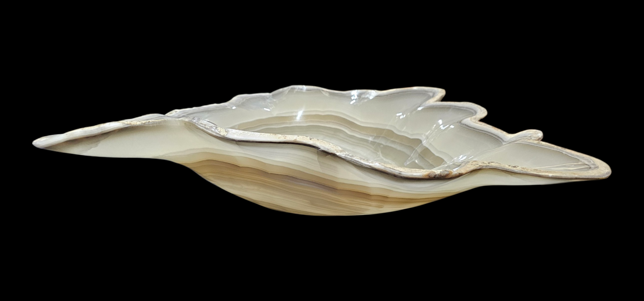 Pearl Blossom