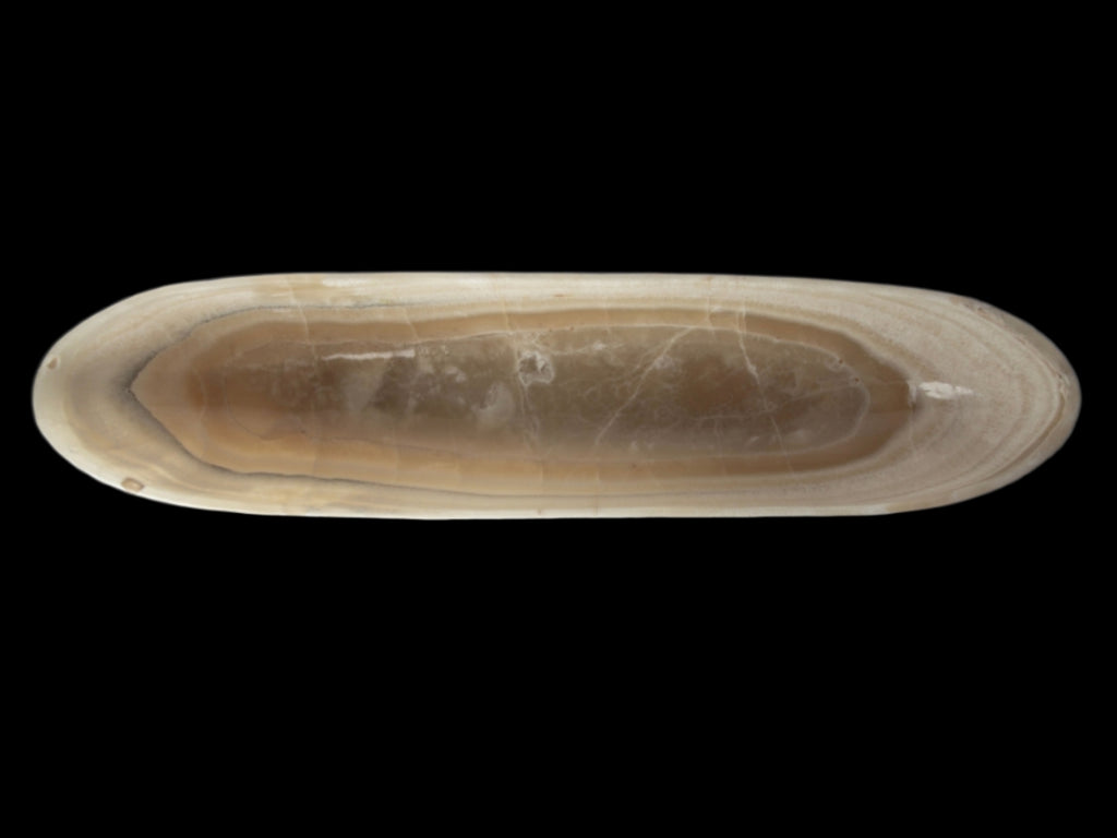 Ivory Horizon