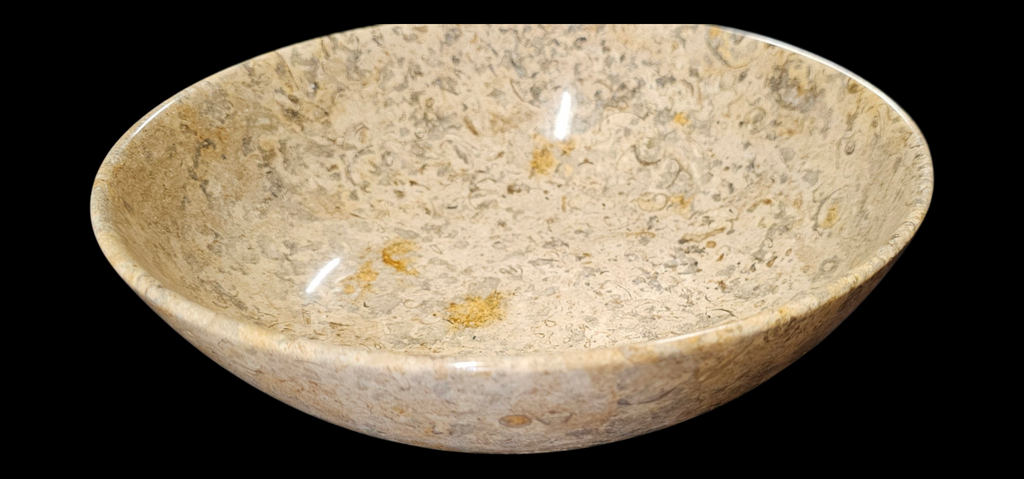 Fossil Canvas