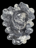 DARK ZEBRA ONYX decorative freeform bowl
