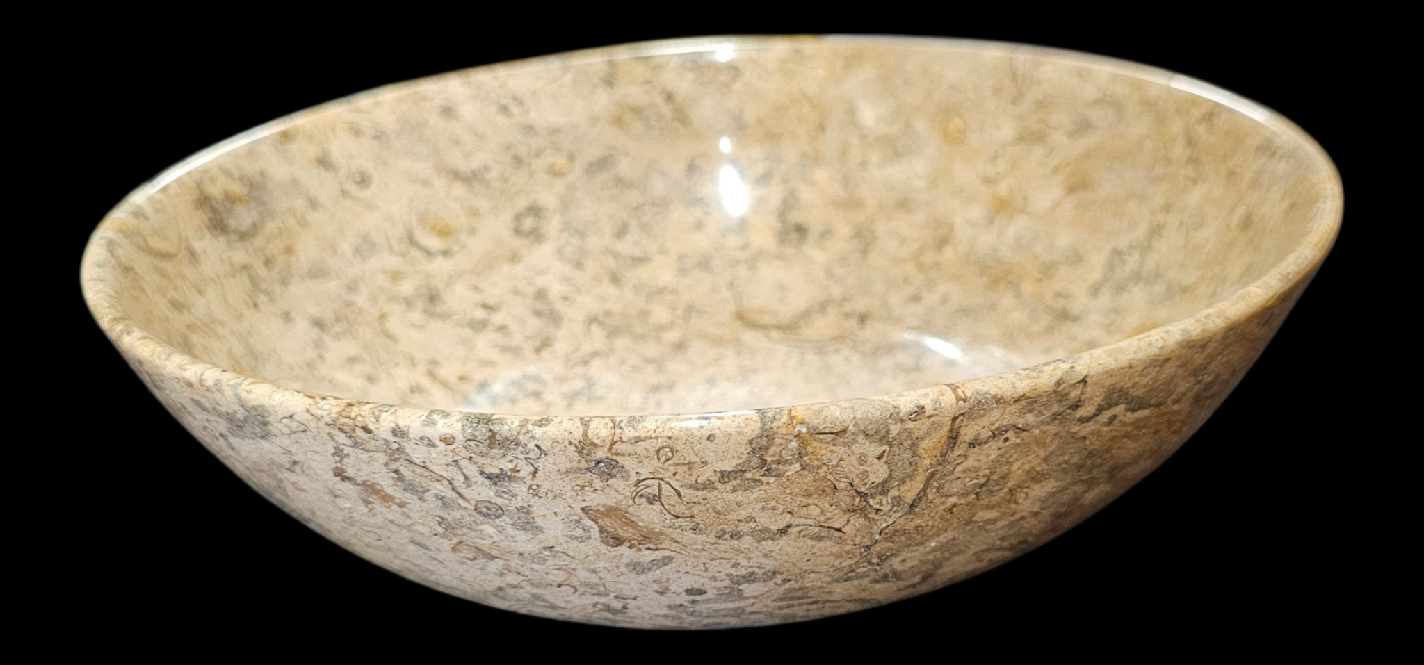 Fossil Canvas