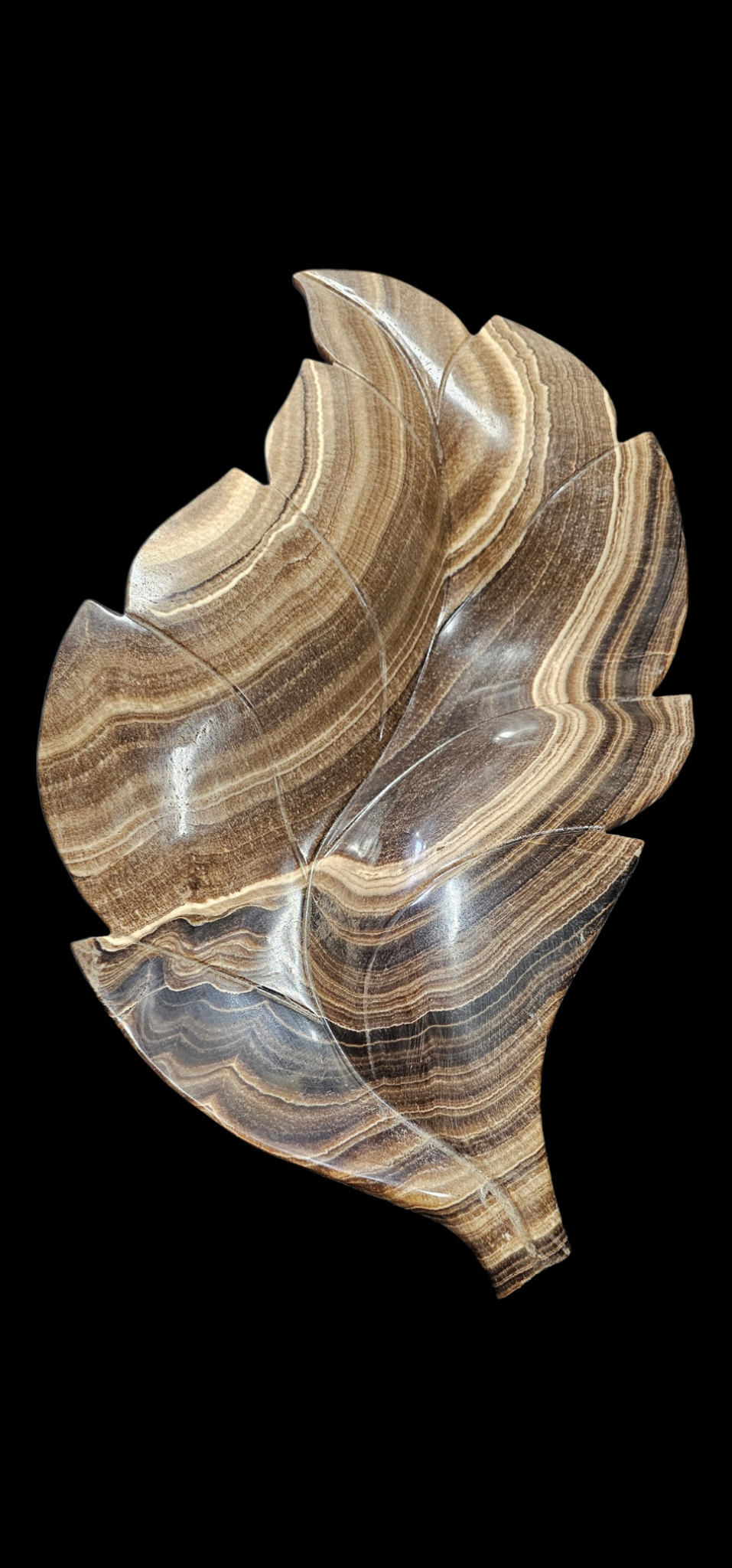 Eternal Leaf