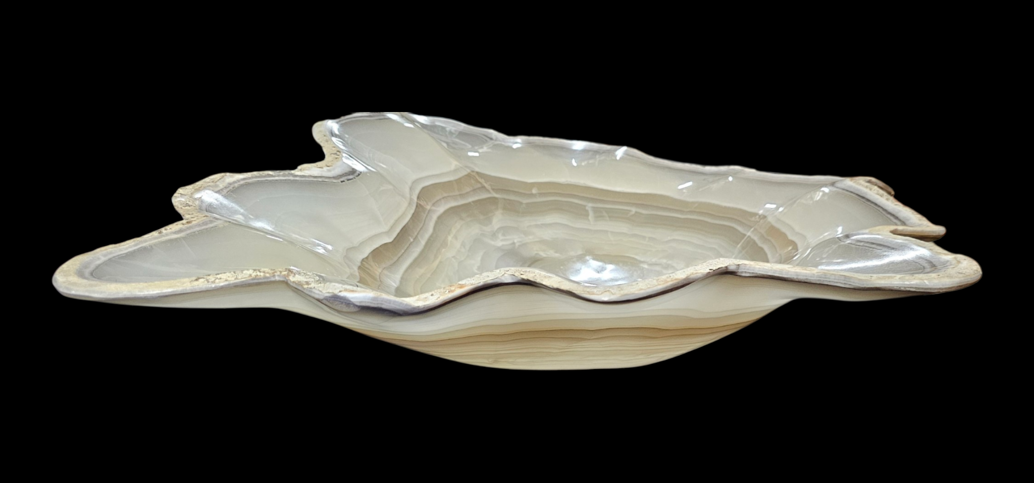 Pearl Blossom