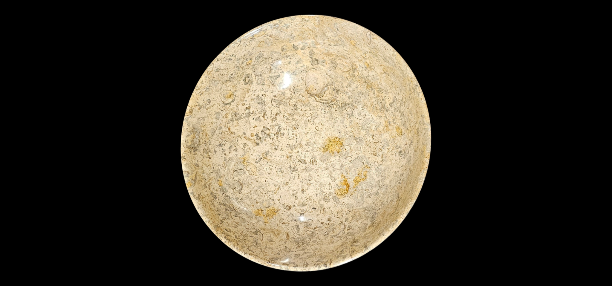 Fossil Canvas