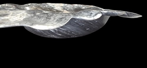 DARK ZEBRA ONYX decorative freeform bowl