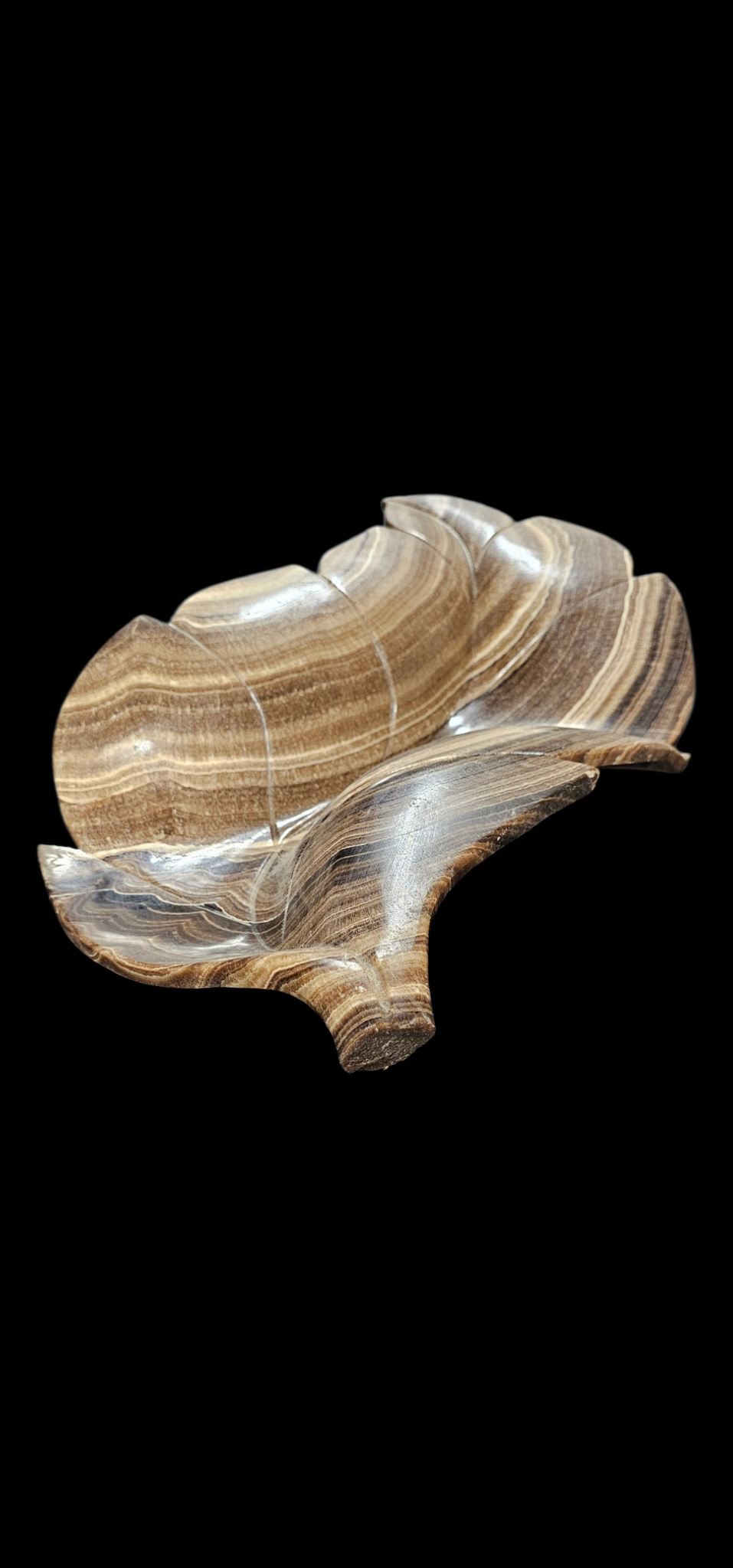Eternal Leaf